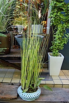 090726^h.jpg
