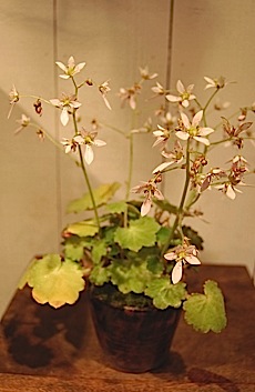 090925^h.jpg