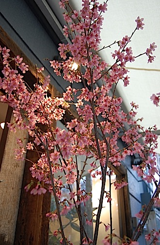 100309-h.jpg