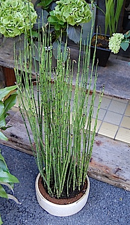 100717-h.jpg
