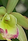 100831-s.jpg