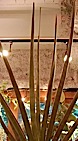 100903^s.jpg