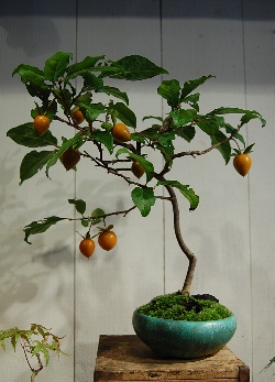 101025-h.jpg