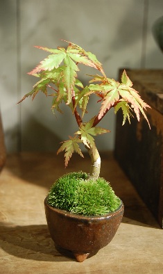 110507-h.jpg
