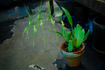 120603@h.jpg