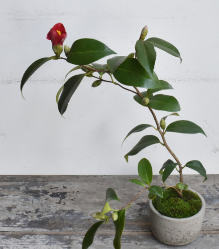 201260305a.JPG