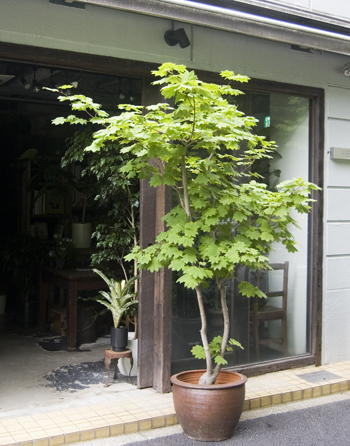 20220520hh.jpg