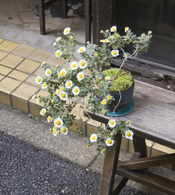 20221104hh.jpg