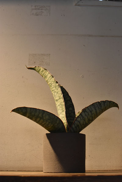 20250328h.jpg