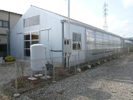 company_1.jpg