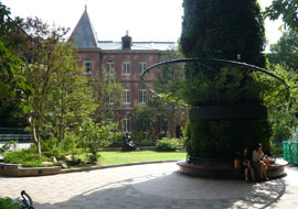 store_marunouchi_1.jpg
