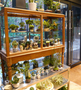 store_marunouchi_2.jpg