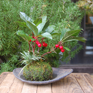 20112501-thumb-300x300-12253.jpg