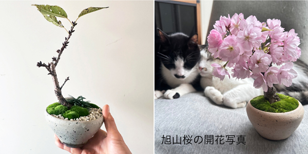 教室20241207.jpg