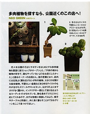 ELLE DECO 記事本文.jpg